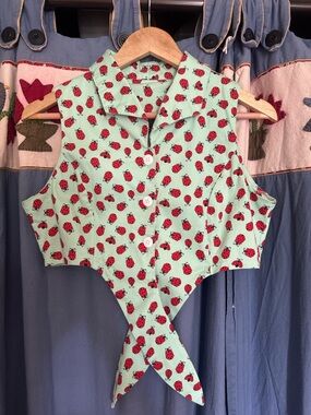 Voodoo Vixen Mint Green Ladybug Tie-Front Crop Top
